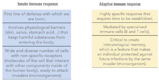 innate adaptive immune response